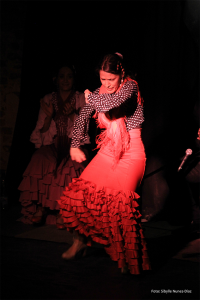 El Pasaje Flamenco